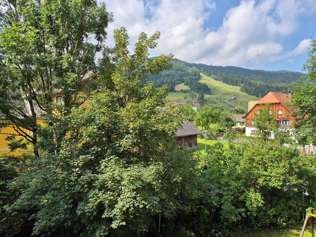 Hotel Alpenblick Kreischberg主图