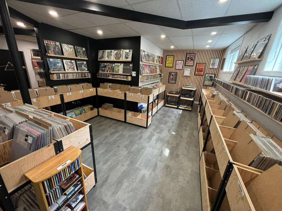 Audiostop Disquaire景点图片