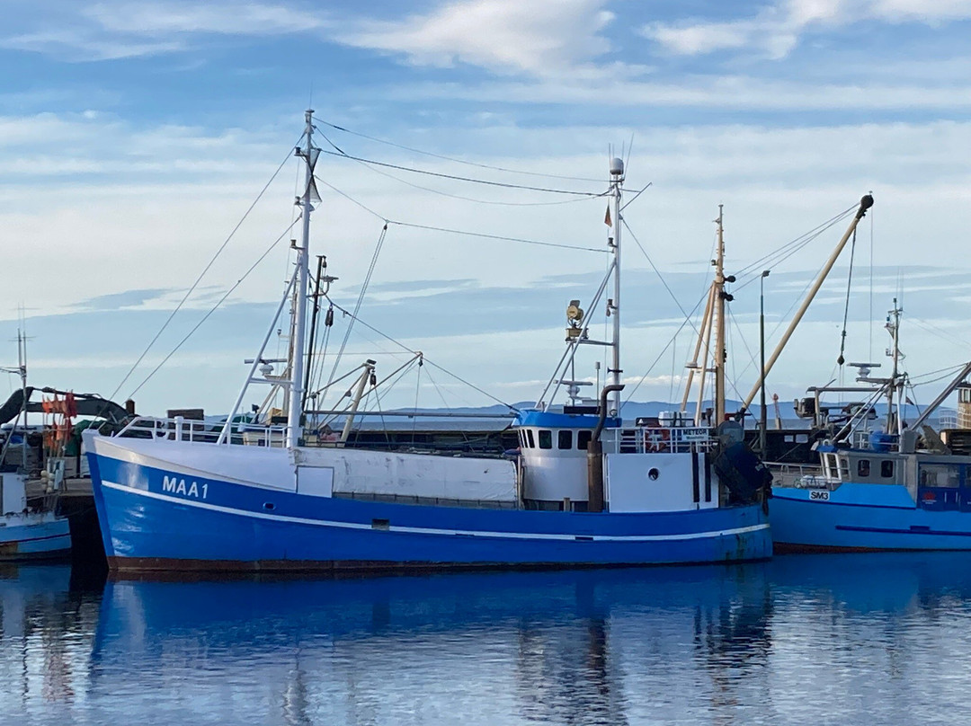 Gilleleje Havn景点图片