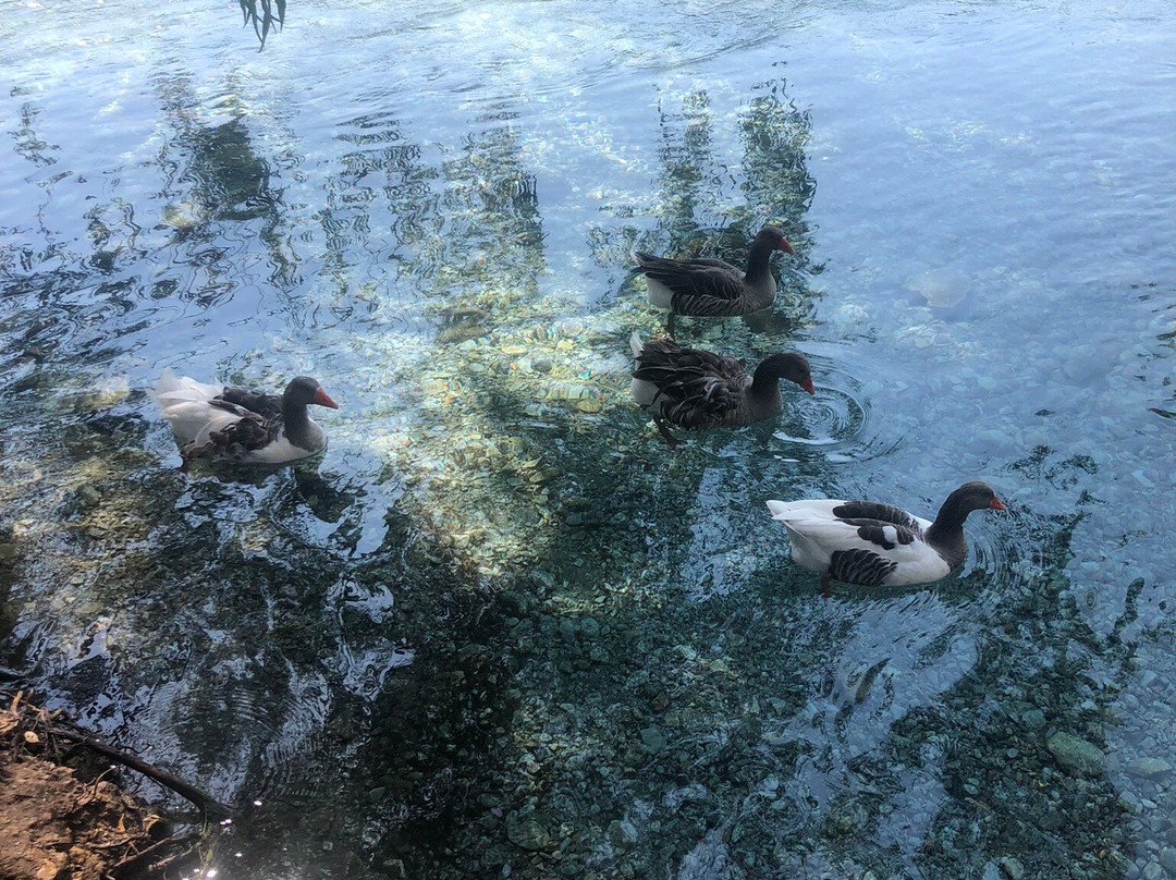 Akyaka Plaji景点图片