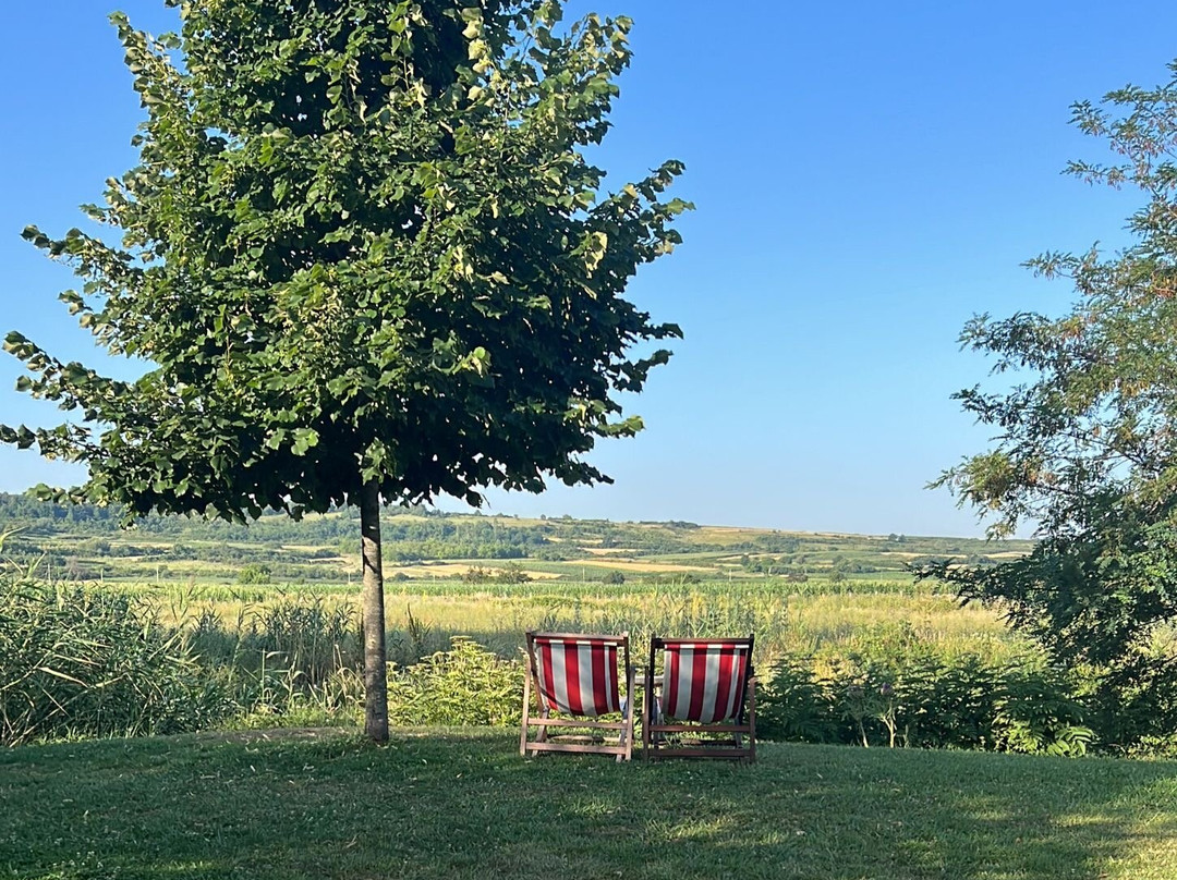 Hotel Gracanica主图