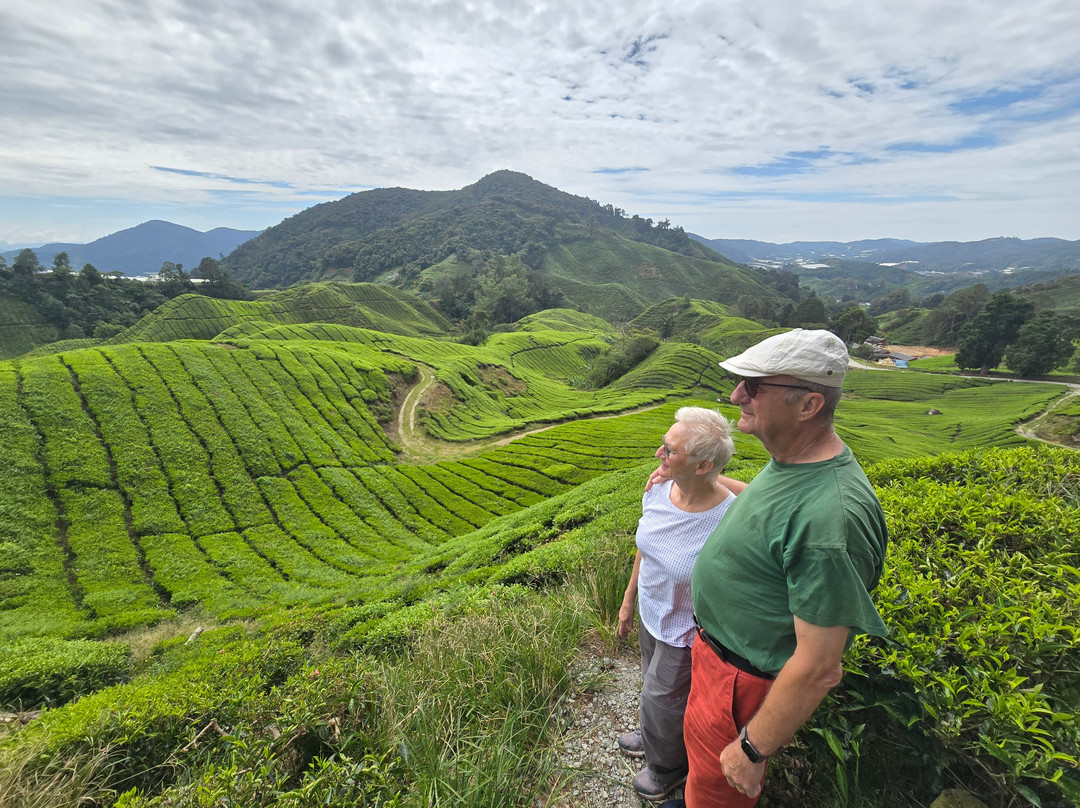 Mossy Cameron Travel & Tours SDN BHD-金马仑高原必去景点