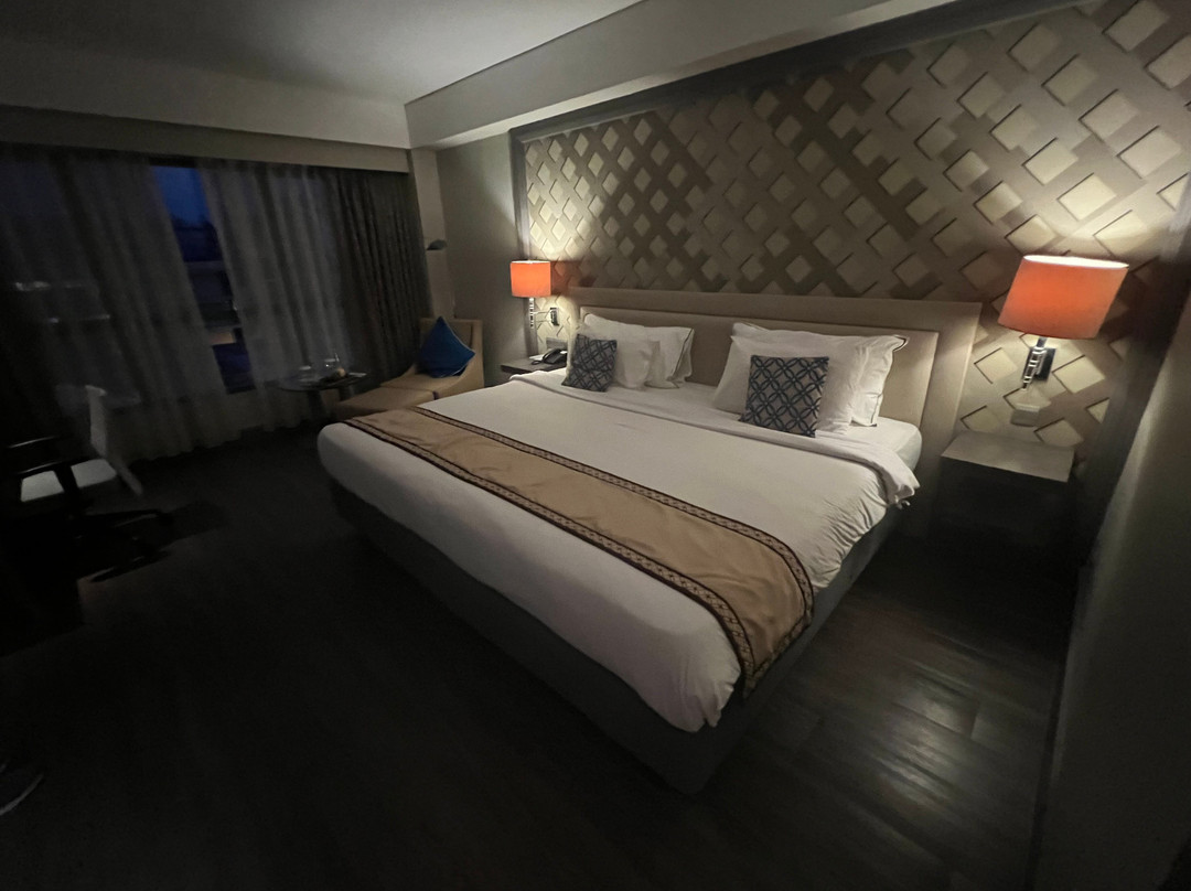 日惹美利亚酒店主图