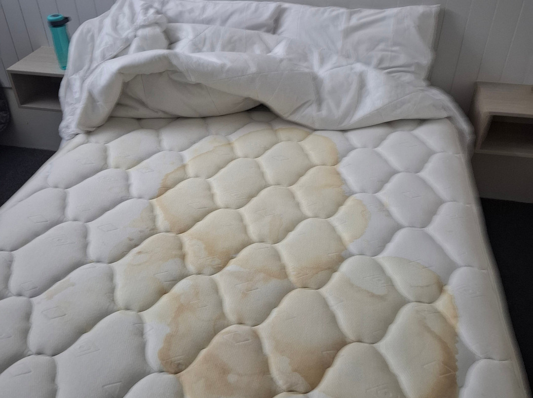 Mackay Rose Motel主图