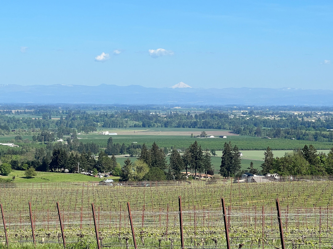 Durant Vineyards-Dayton必去景点