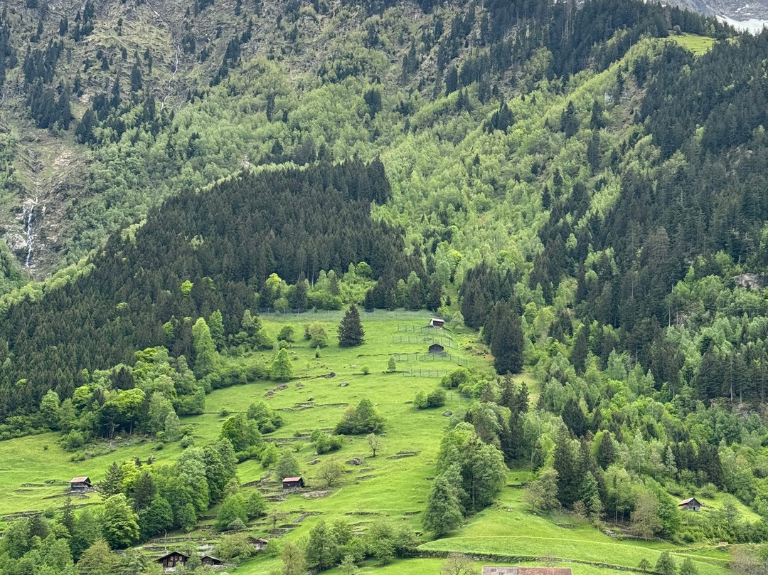 Pure Switzerland - Tours and Guiding景点图片