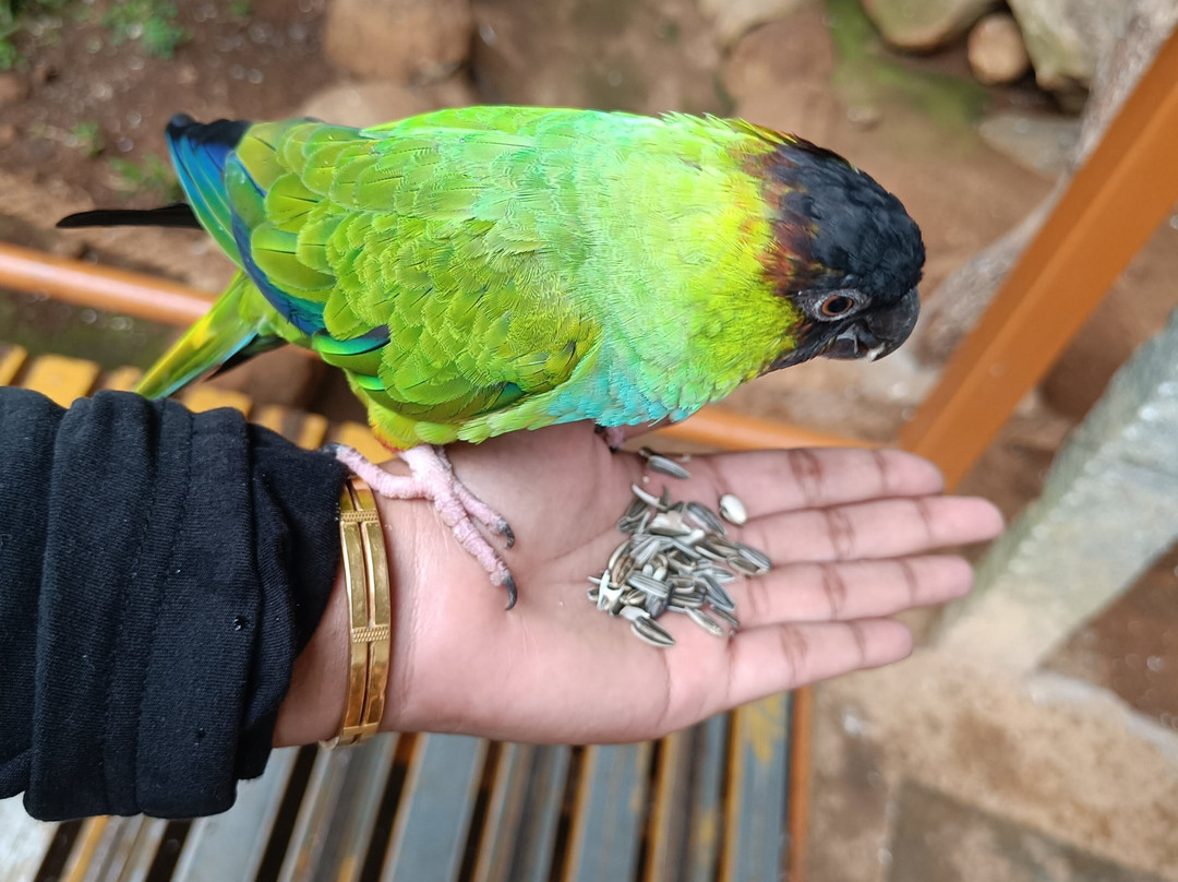 Peeku Park Yercaud-亚尔考德必去景点