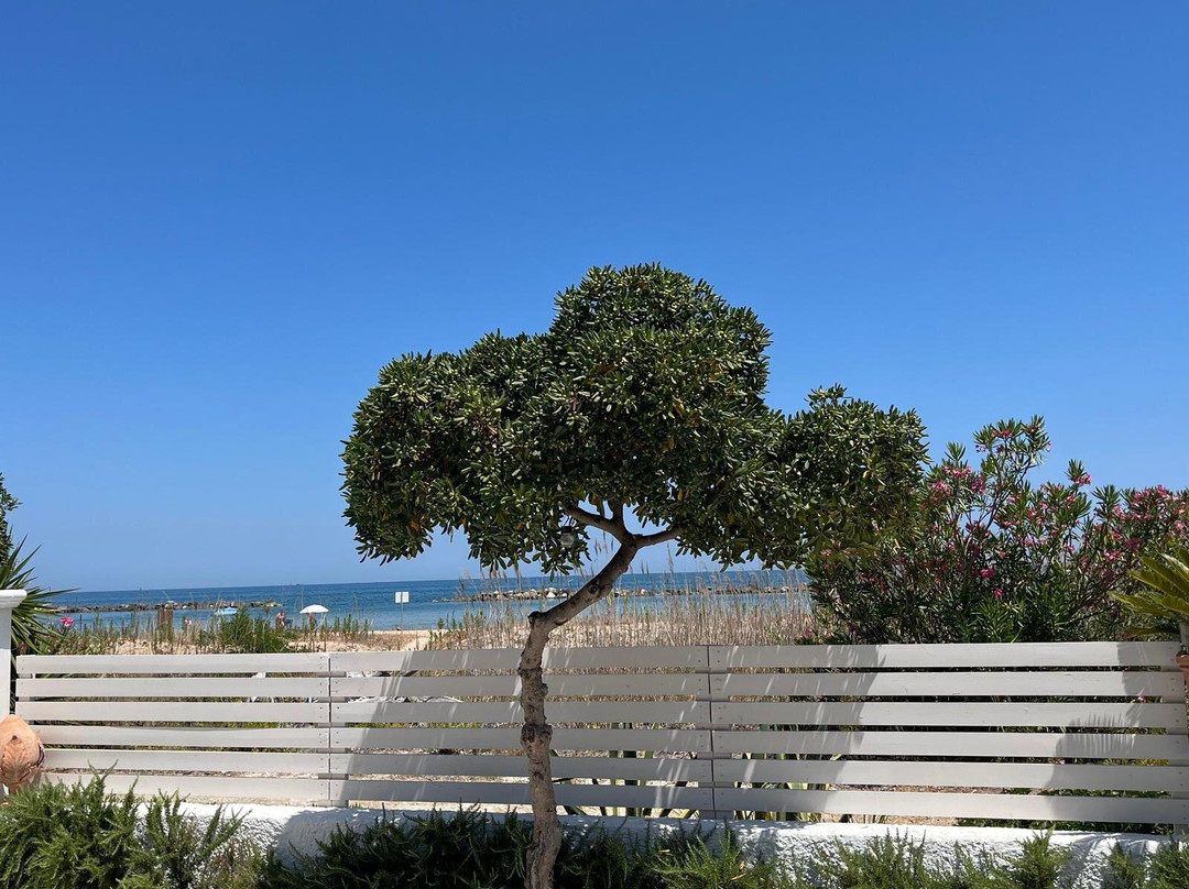 Il Mare in Una Stanza主图