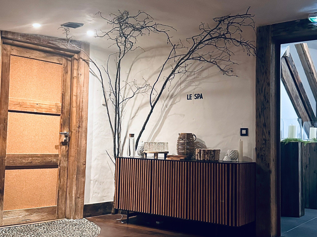Hôtel Les Suites - Maison Bouvier主图