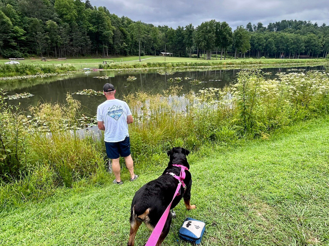 Deerwoode Reserve主图