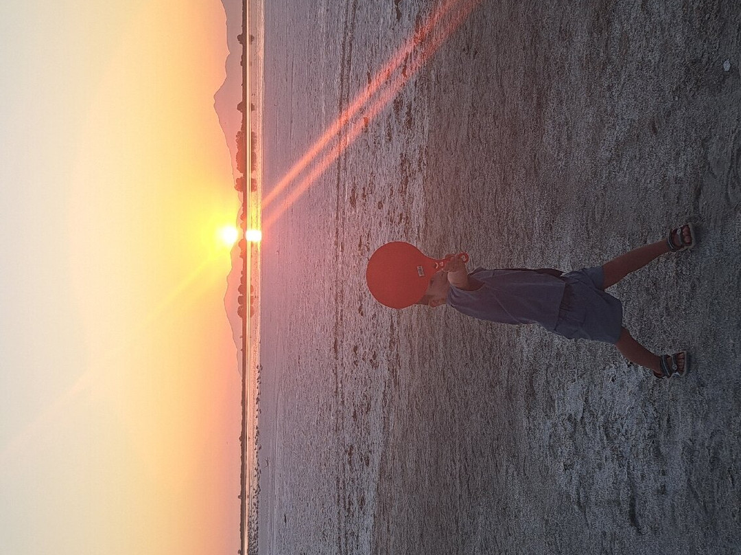 Oasis Apartments, Kos主图