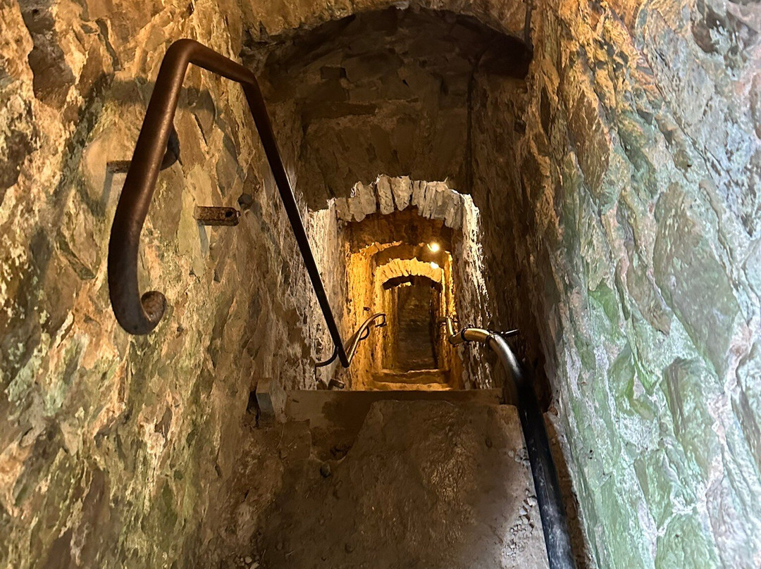 Chateau de Franchimont景点图片