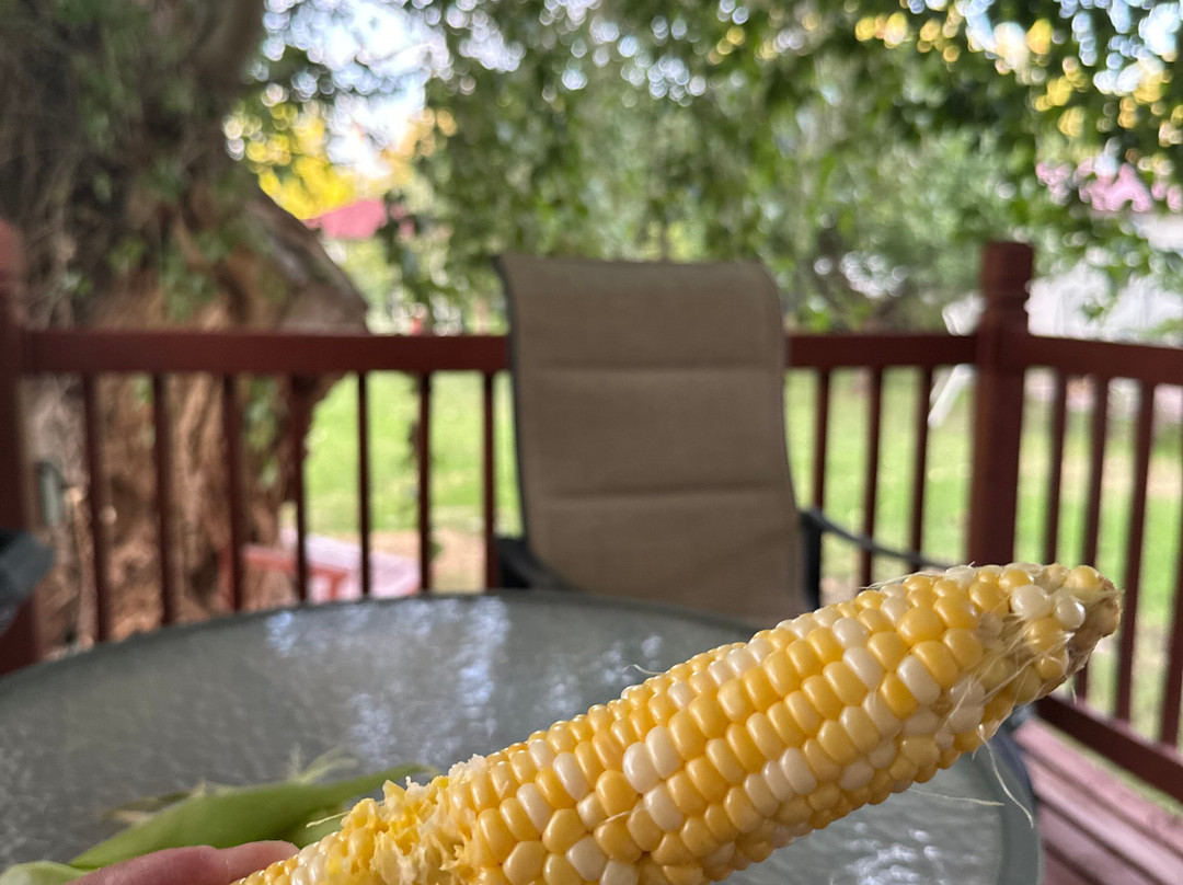 Red Horse Bed and Breakfast主图