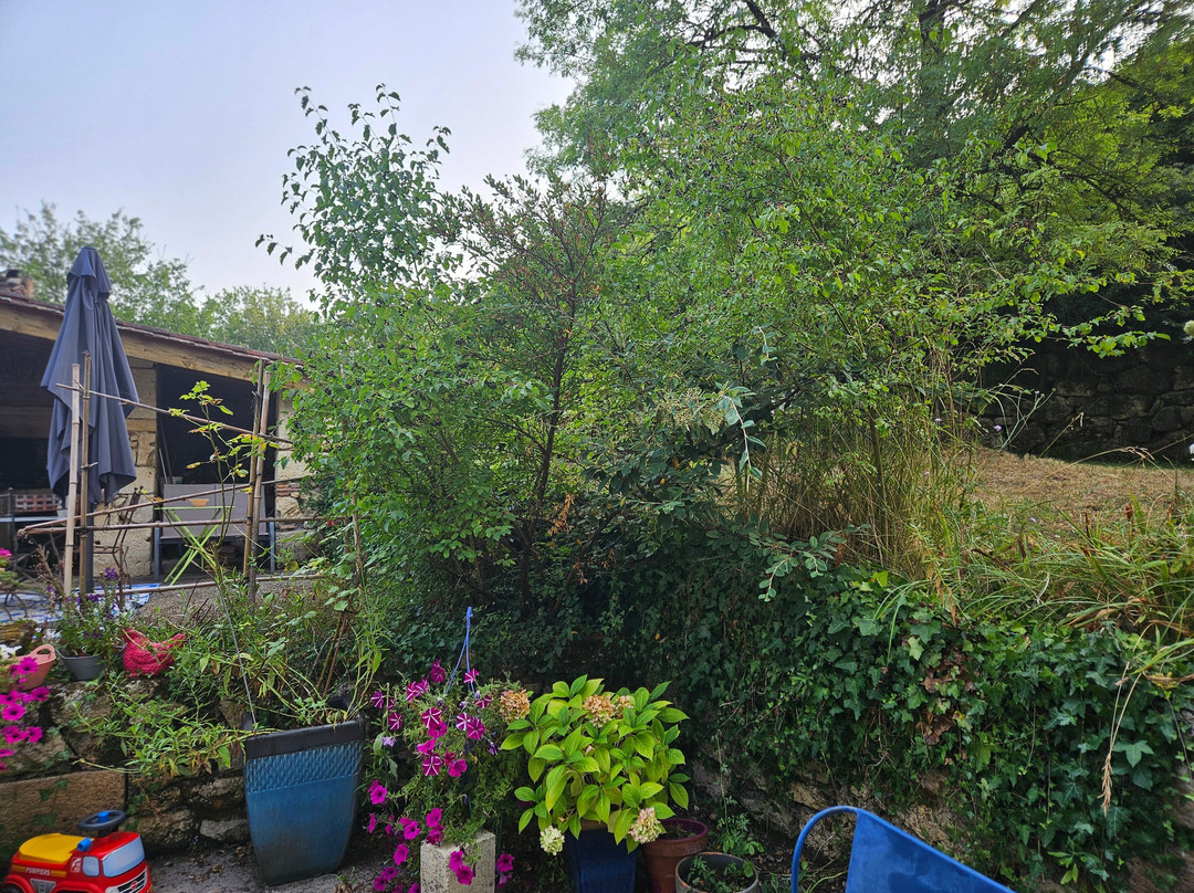 Domaine de Puycarpin主图