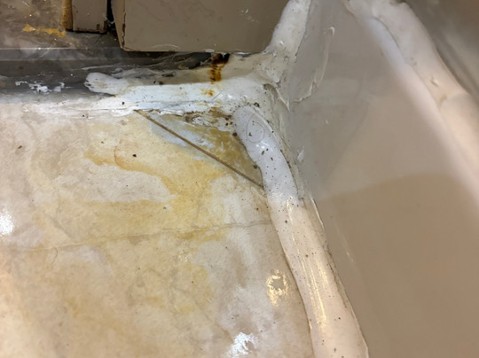 Paloma Foresta主图