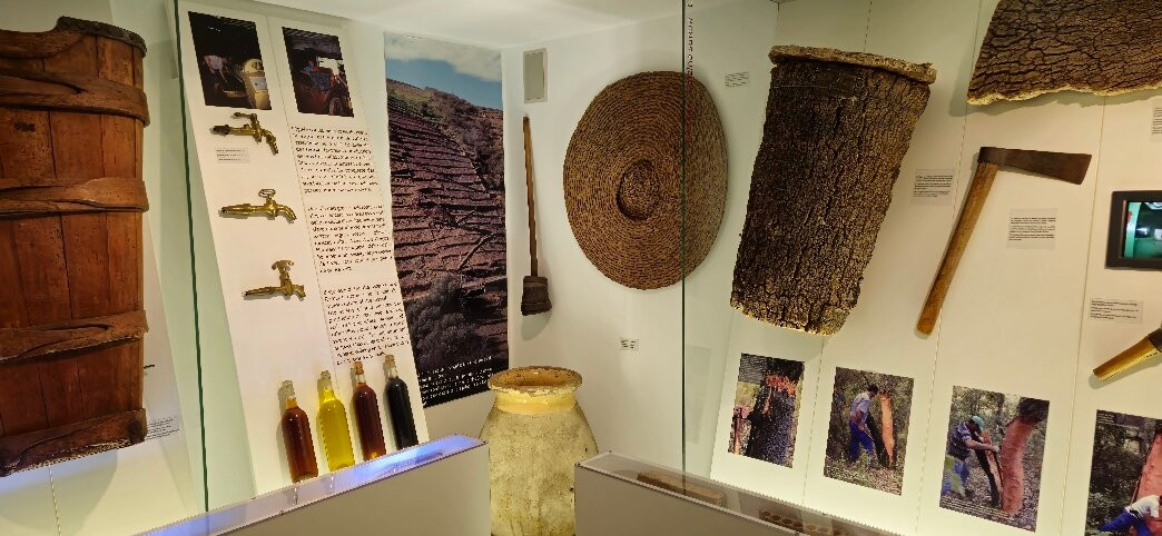 Musée Casa de l'Albera