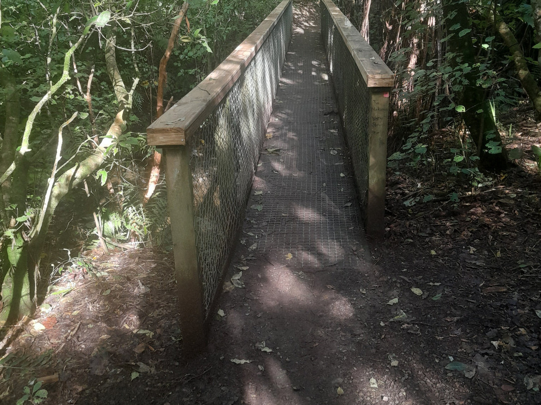 Otari-Wilton's Bush Native Botanic Garden景点图片