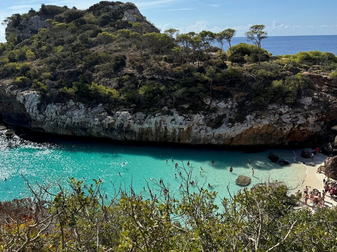 GoFurGo Mallorca-马洛卡帕尔马必去景点