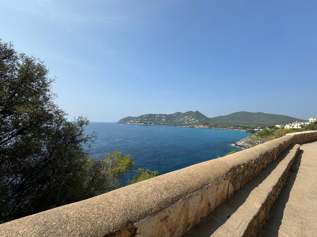 Bugs Buggy Mallorca Adventure-Cala Ratjada必去景点