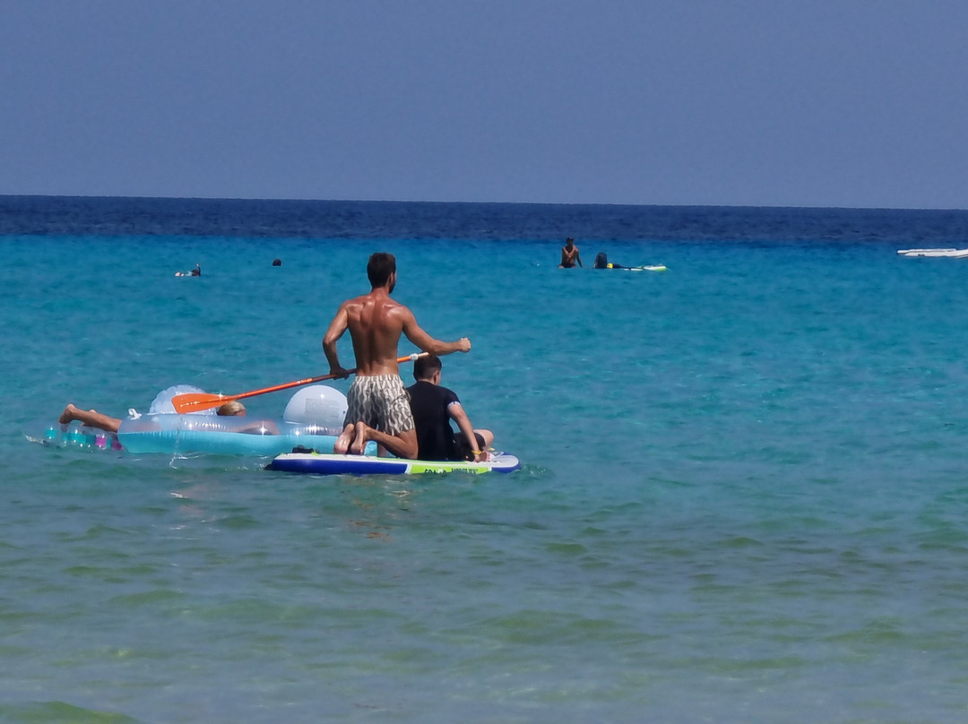 GoFurGo Mallorca-马洛卡帕尔马必去景点