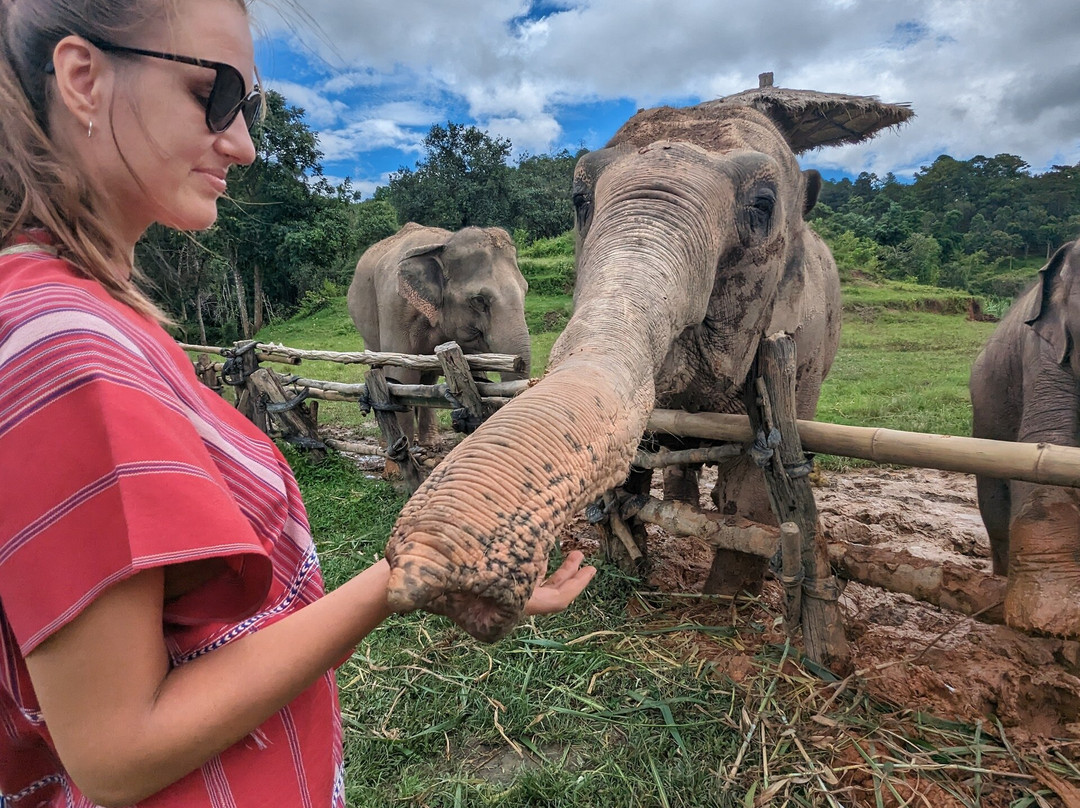 Elephant Pride Sanctuary-清迈必去景点