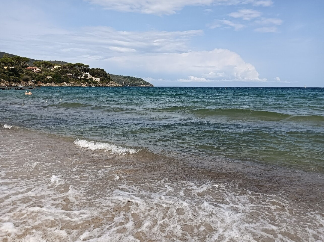 Procchio Beach景点图片