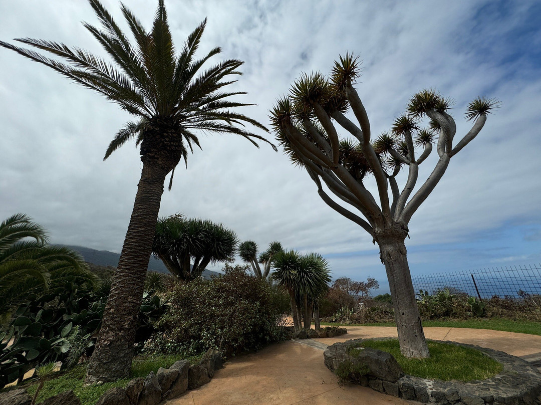 Parque Natural El Montillo-圣克鲁斯-德特内里费必去景点