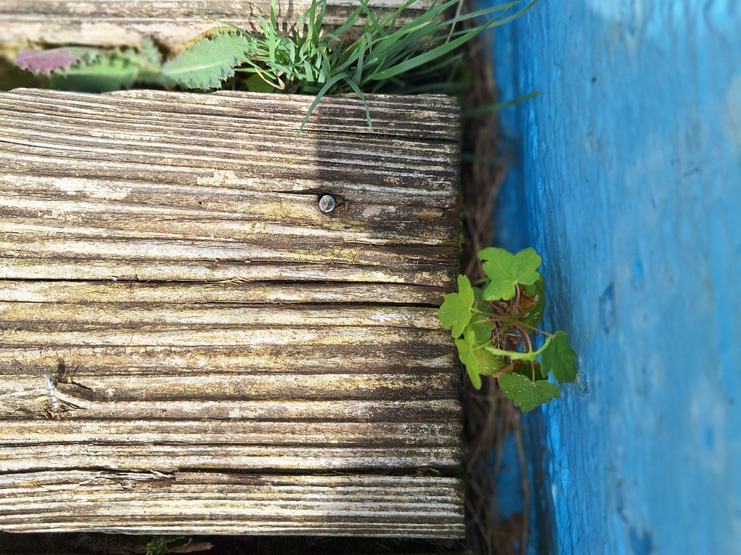 JUFA Hotel Schwarzwald主图