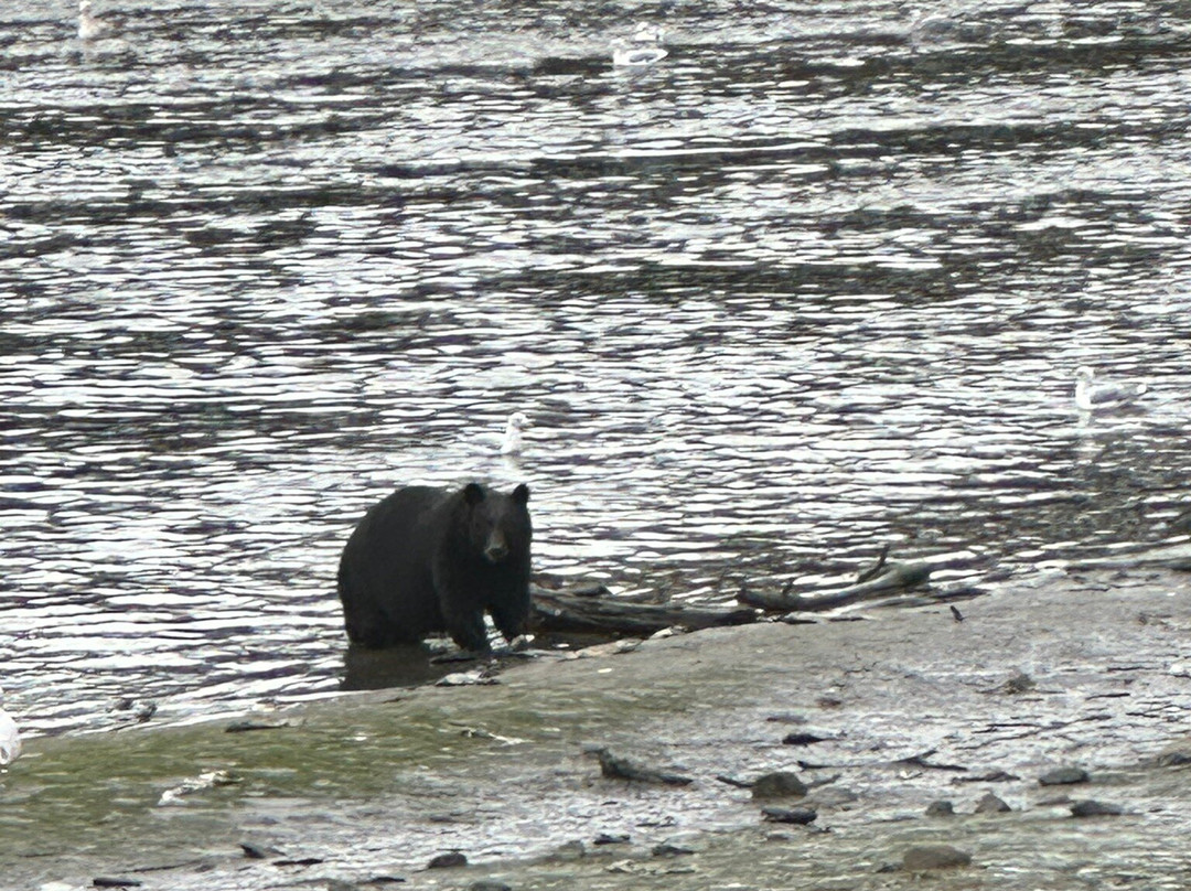 Herring Cove-凯奇坎必去景点