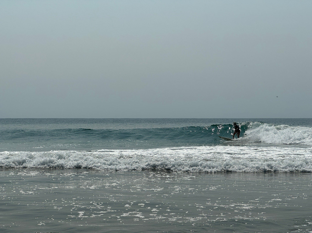 Mexico Waves Surf Trips & Surf Guiding景点图片