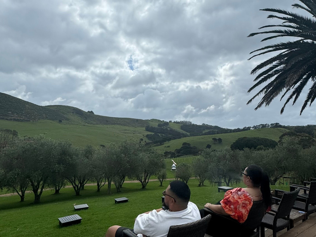 Kiwi Connect - Auckland  Guided Tours-奥克兰中心地区必去景点