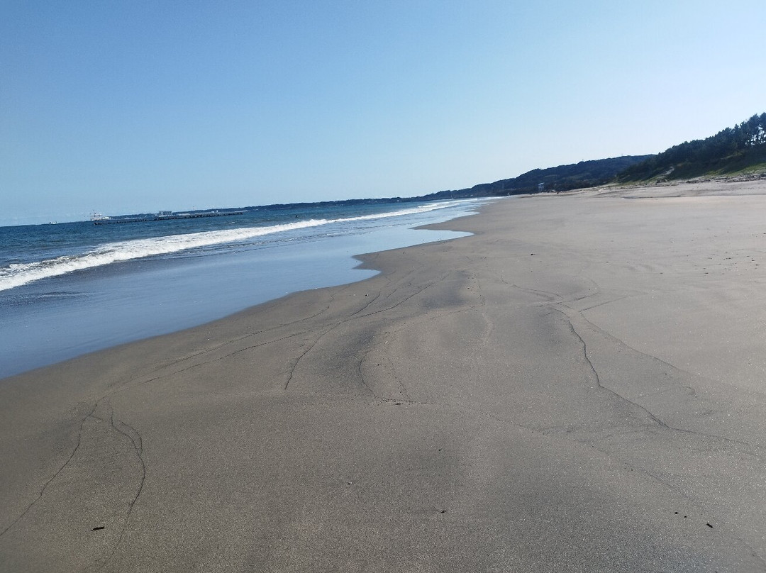 Sagara Beach-牧之原市必去景点