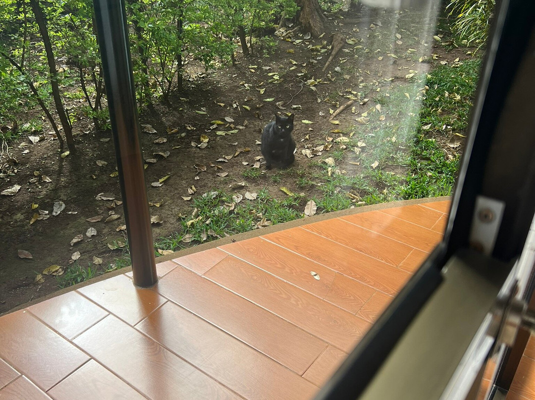 Panama Garden Resort主图