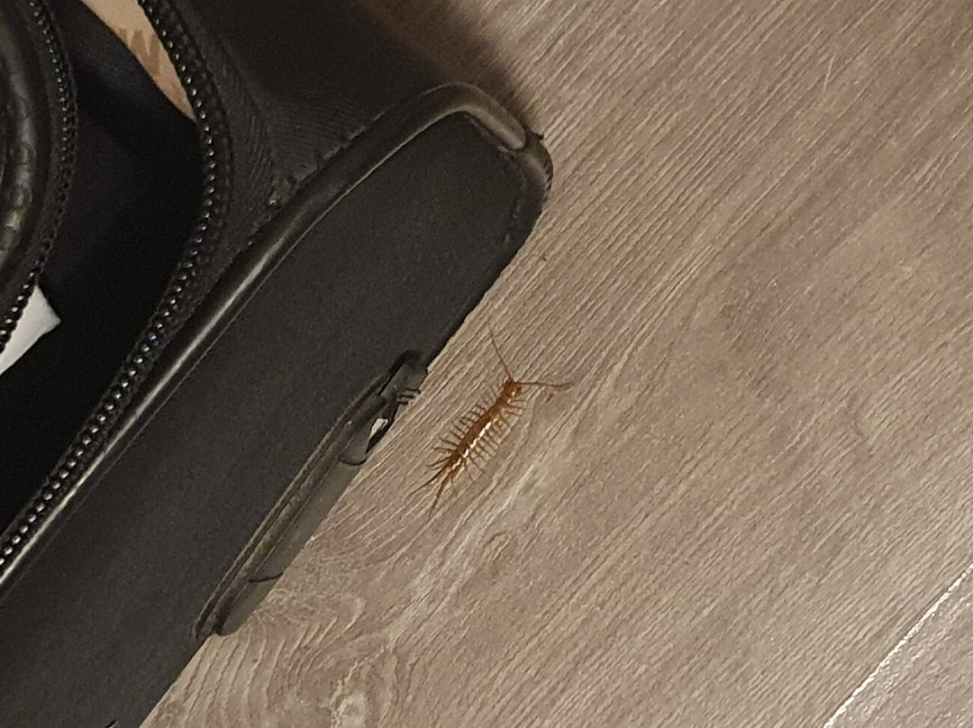 萨摩瑟拉奇田园酒店主图