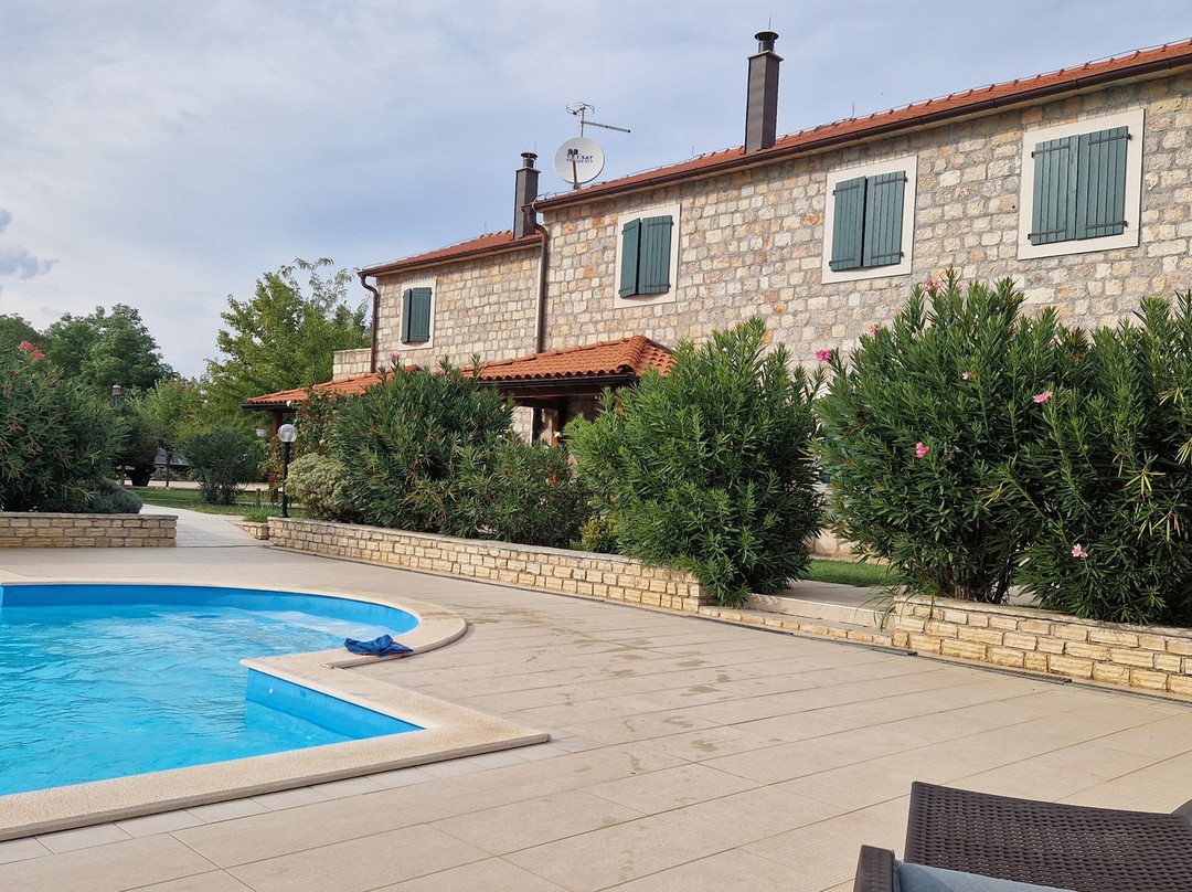 Pansion Skelin主图