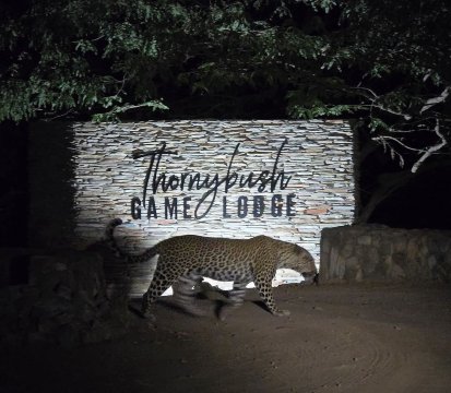 荆棘丛游戏山林小屋-浴室
