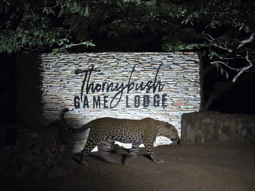 荆棘丛游戏山林小屋主图