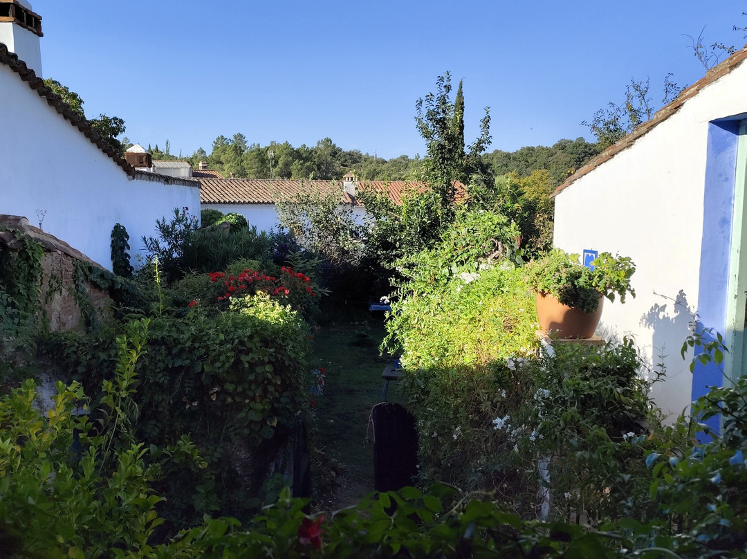 Posada del Castaño主图