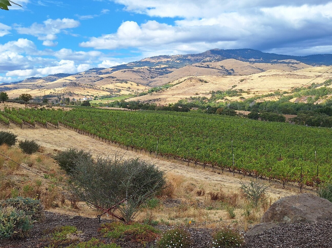 Irvine & Roberts Vineyards-阿什兰必去景点