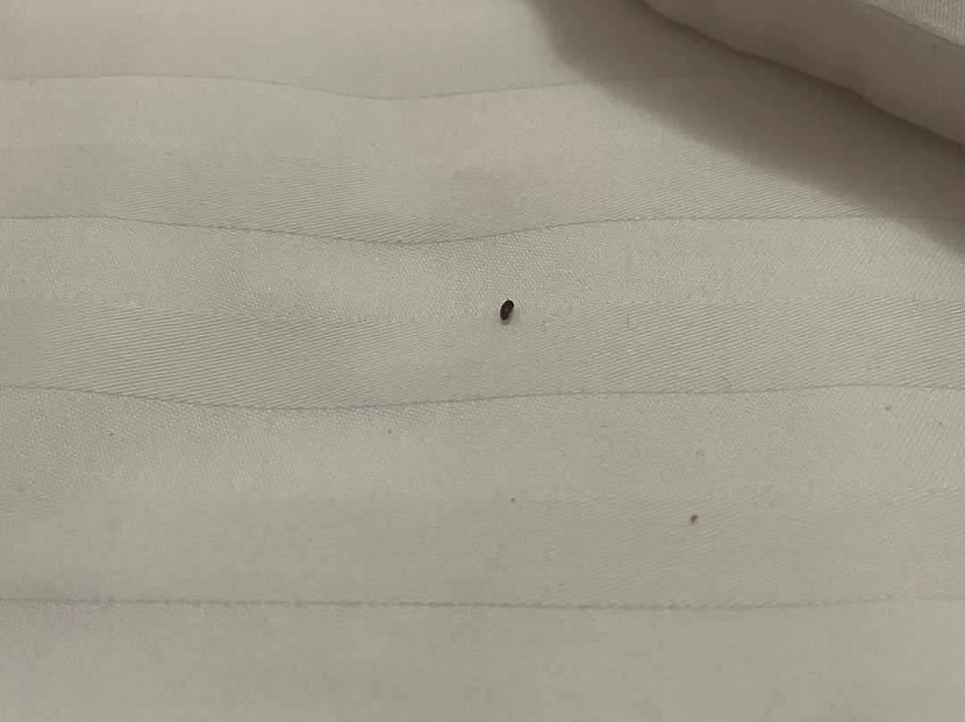 Nord Park Resort主图