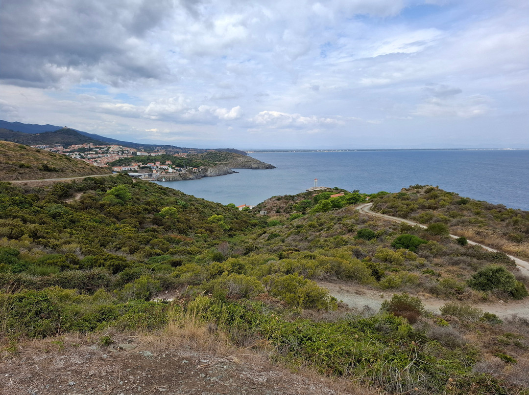 Phare du Cap Béar景点图片