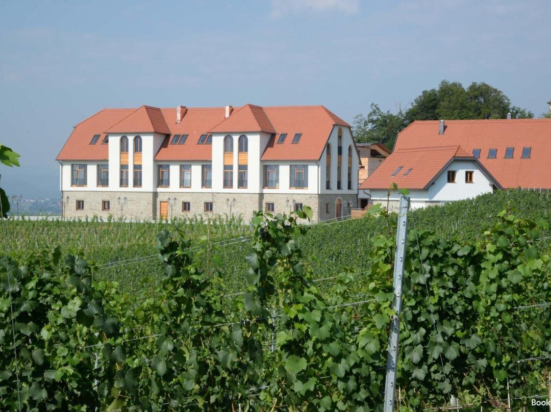 Weingut Taggenbrunn主图