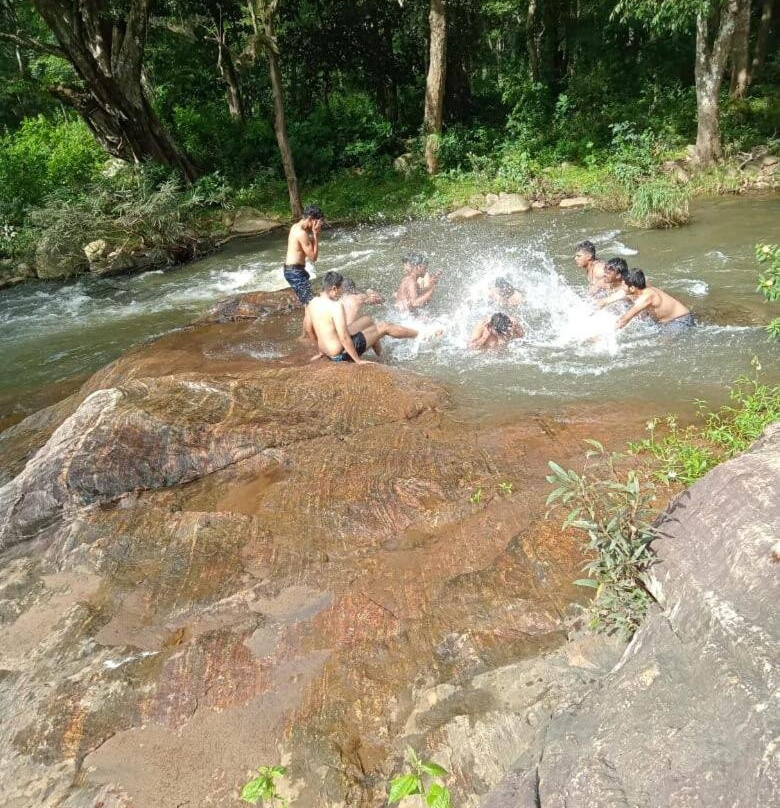 Tiger Tracks Resort主图