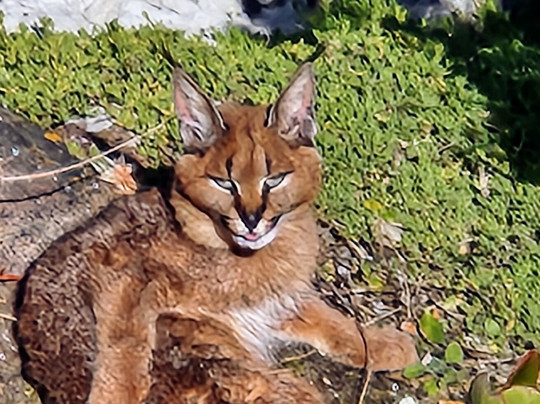 Connect Travel SA-斯泰伦博斯必去景点