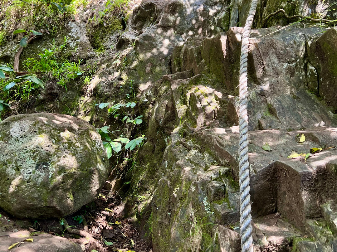 Mt Gower-豪勋爵群岛必去景点