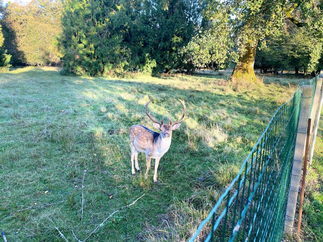 Domaine De Pouzelande主图