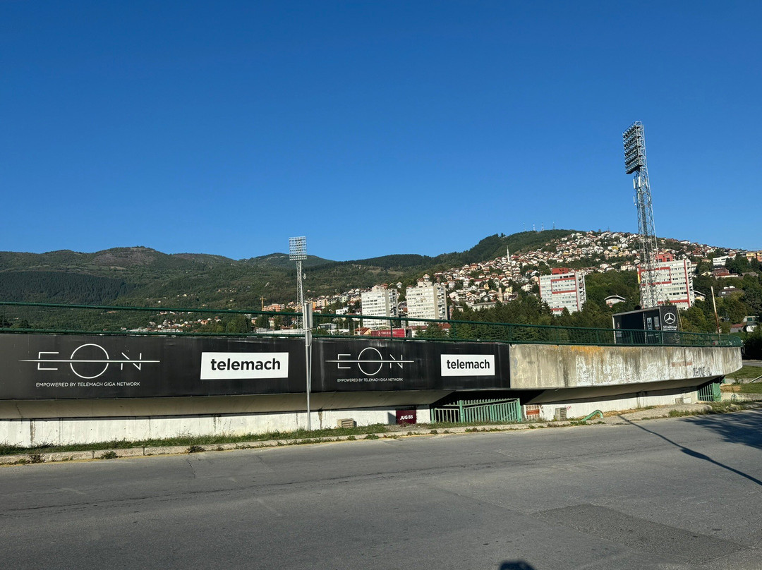 Asim Ferhatović Hase Stadium景点图片