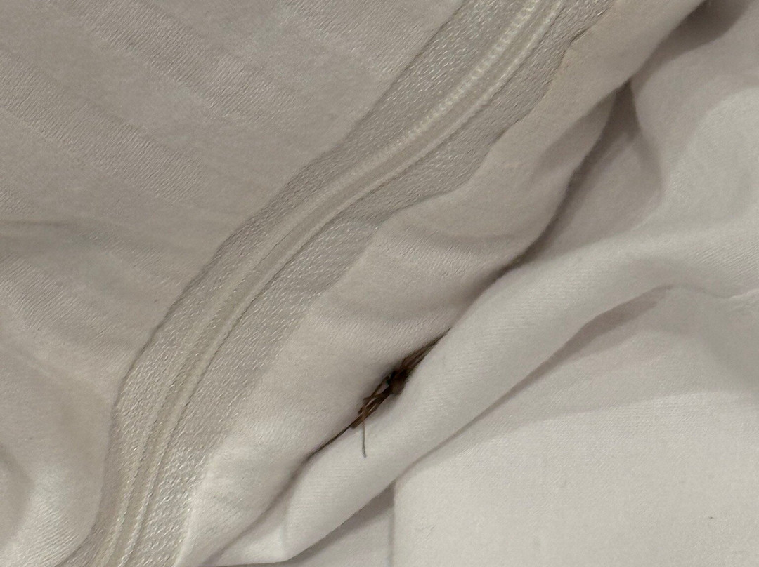 Hotel Rural Carlos Astorga主图