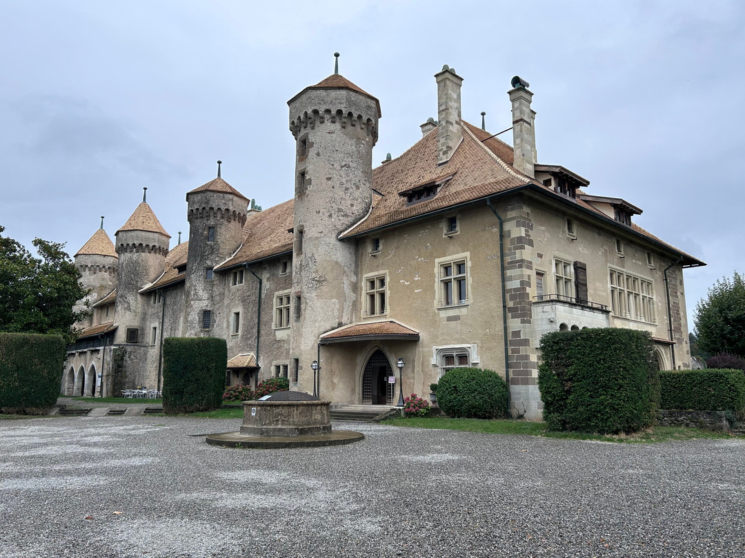 Château de Ripaille景点图片