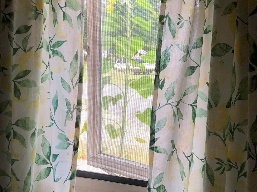 Tahquamenon Hotel主图